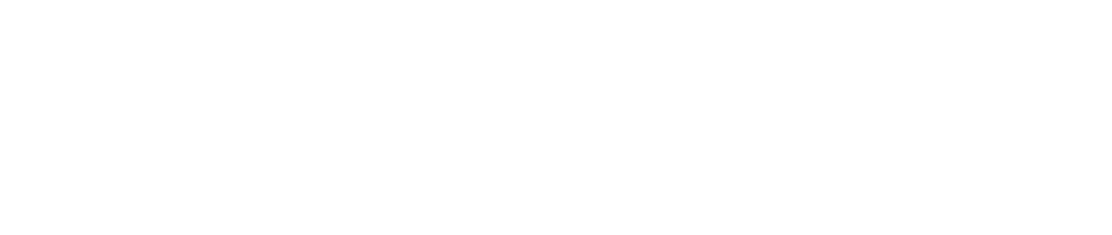 ASSET