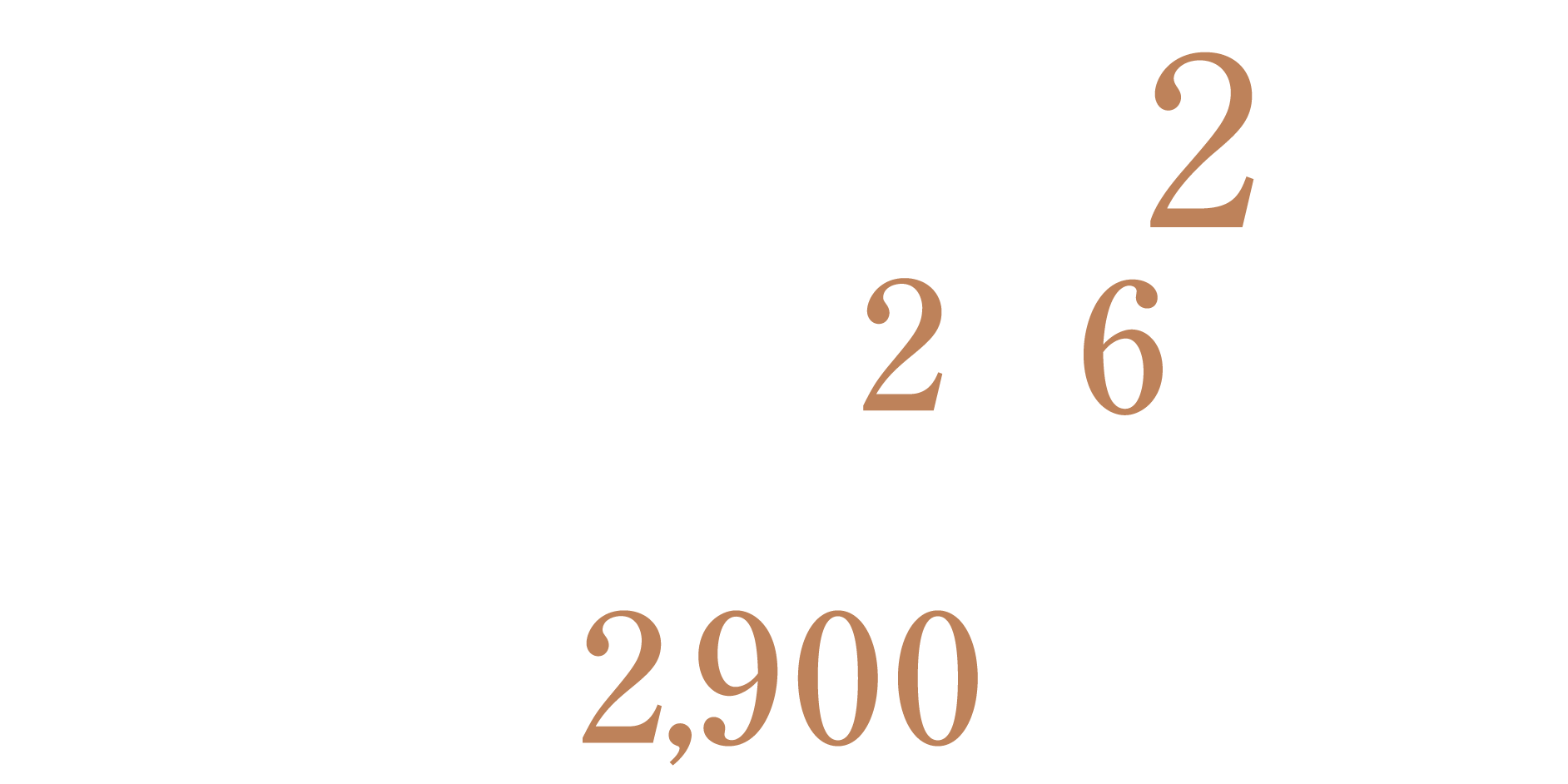 JR宇都宮線/湘南新宿ライン「東大宮」駅徒歩2分「大宮」駅2駅6分｜全戸南向き 1LDK・30㎡台［予定販売価格］2,900万円台〜※100万円単位